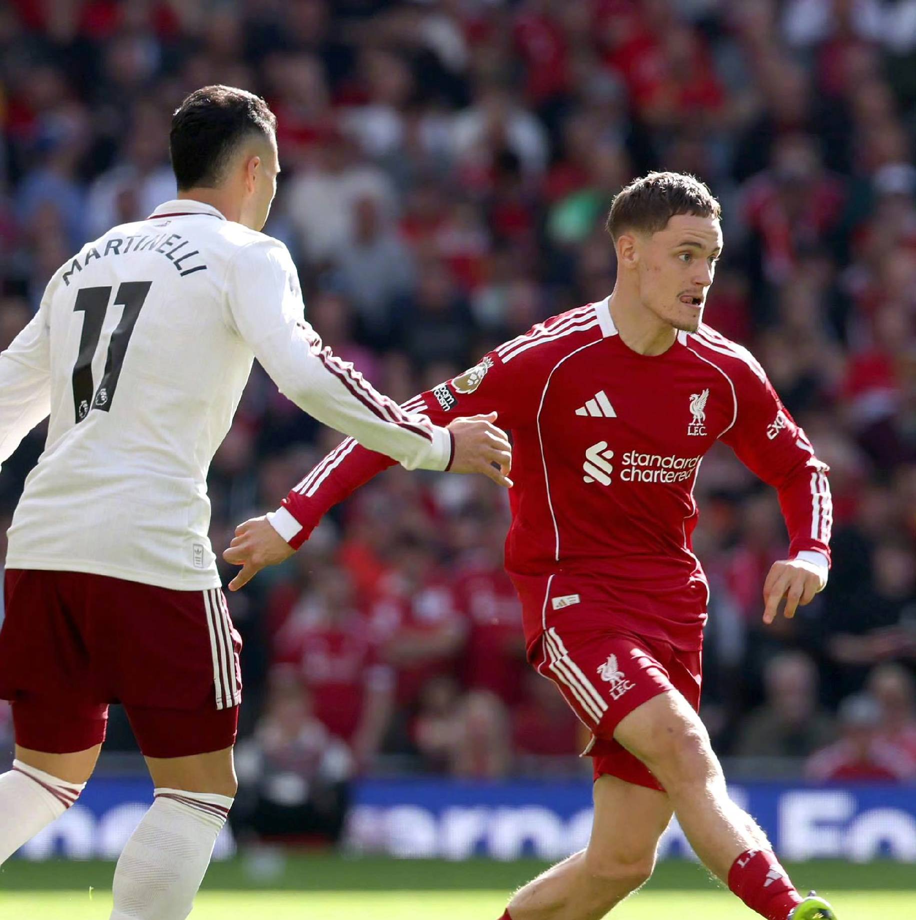 例如去年的 例如去年的